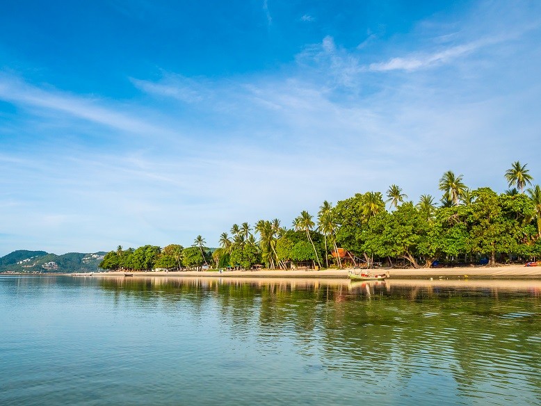 Discovering Kerala: Top Places to Visit, Delicacies to  ...
