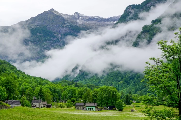 Things to Do in Dalhousie: A Comprehensive Guide for Ev ...