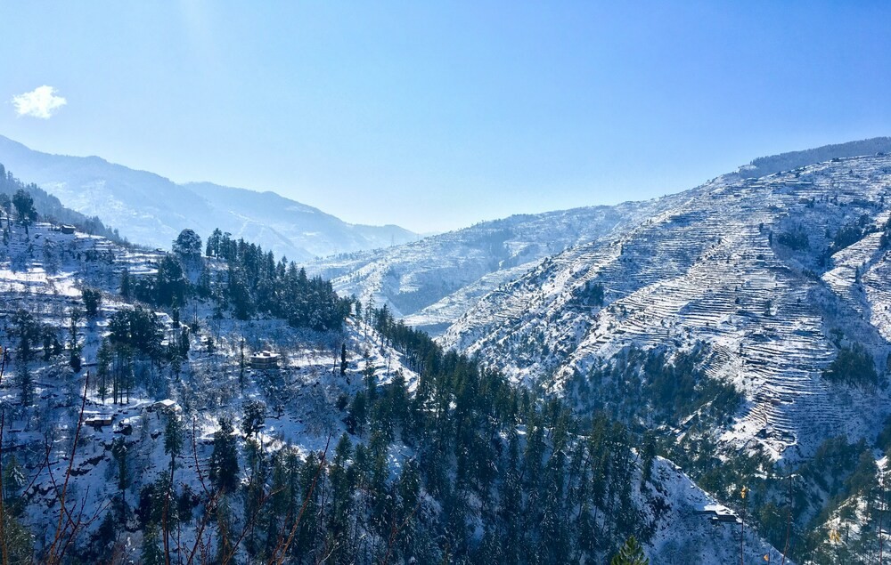 Shimla Kufri Chail Tour Package for 4 Nights 5 Days