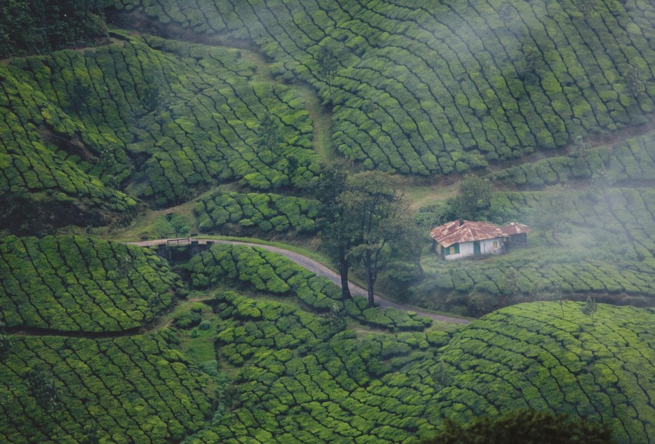 Munnar Alleppey Tour Package for 3 Nights 4 Days