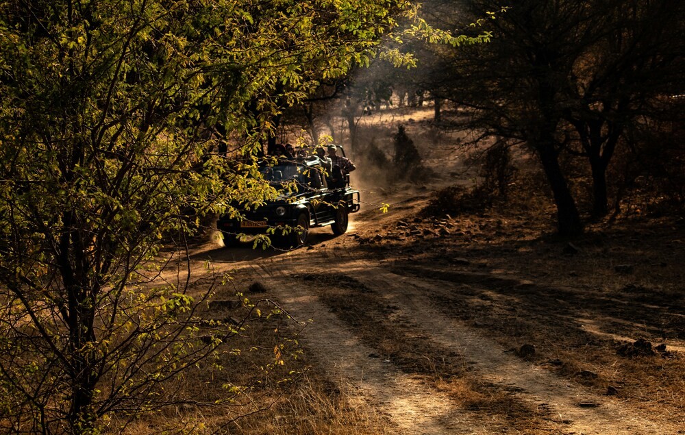 Ranthambore Tour Package for 1 Night 2 Days